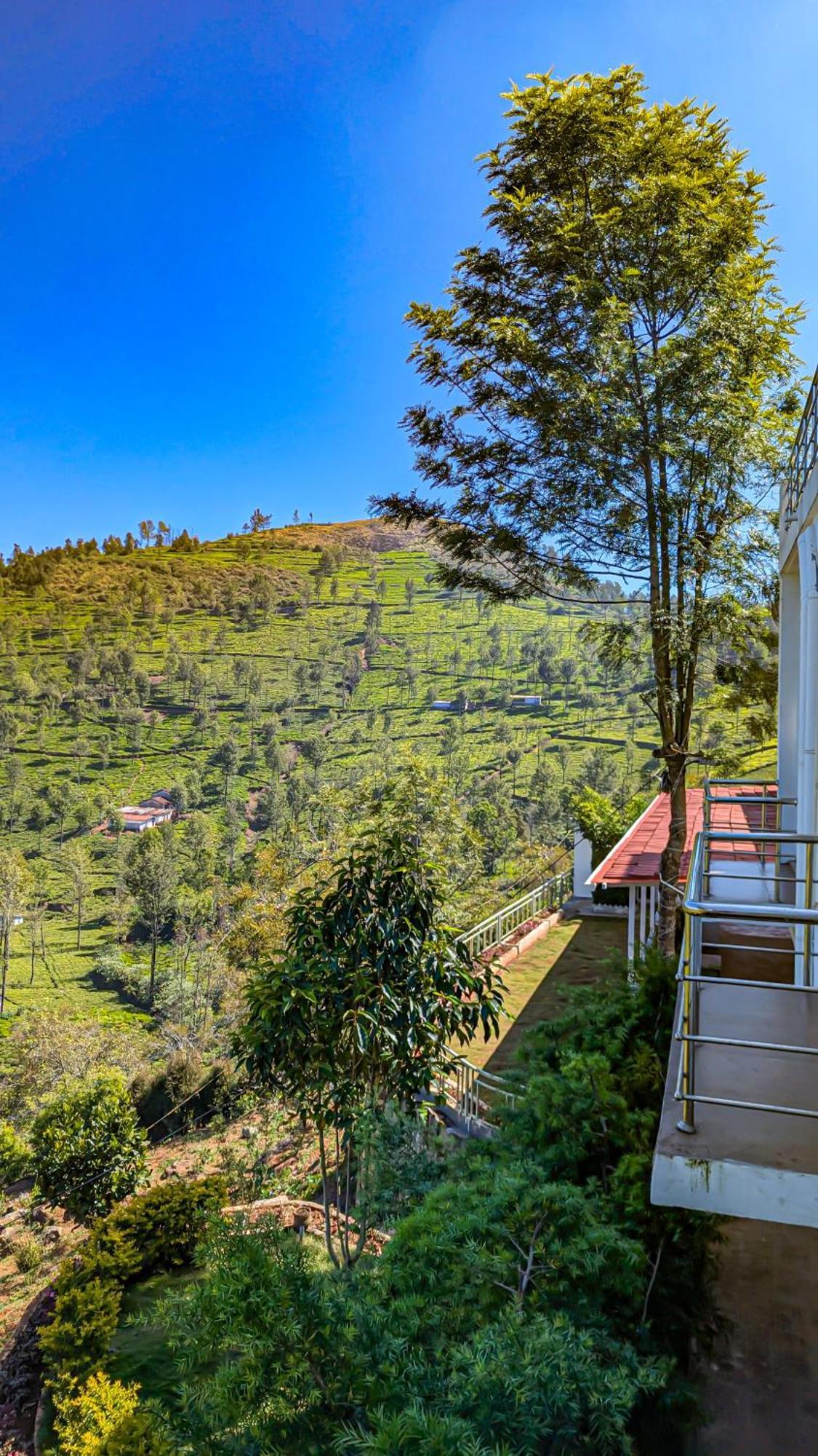Valley View Inn, コタジリ 部屋 写真